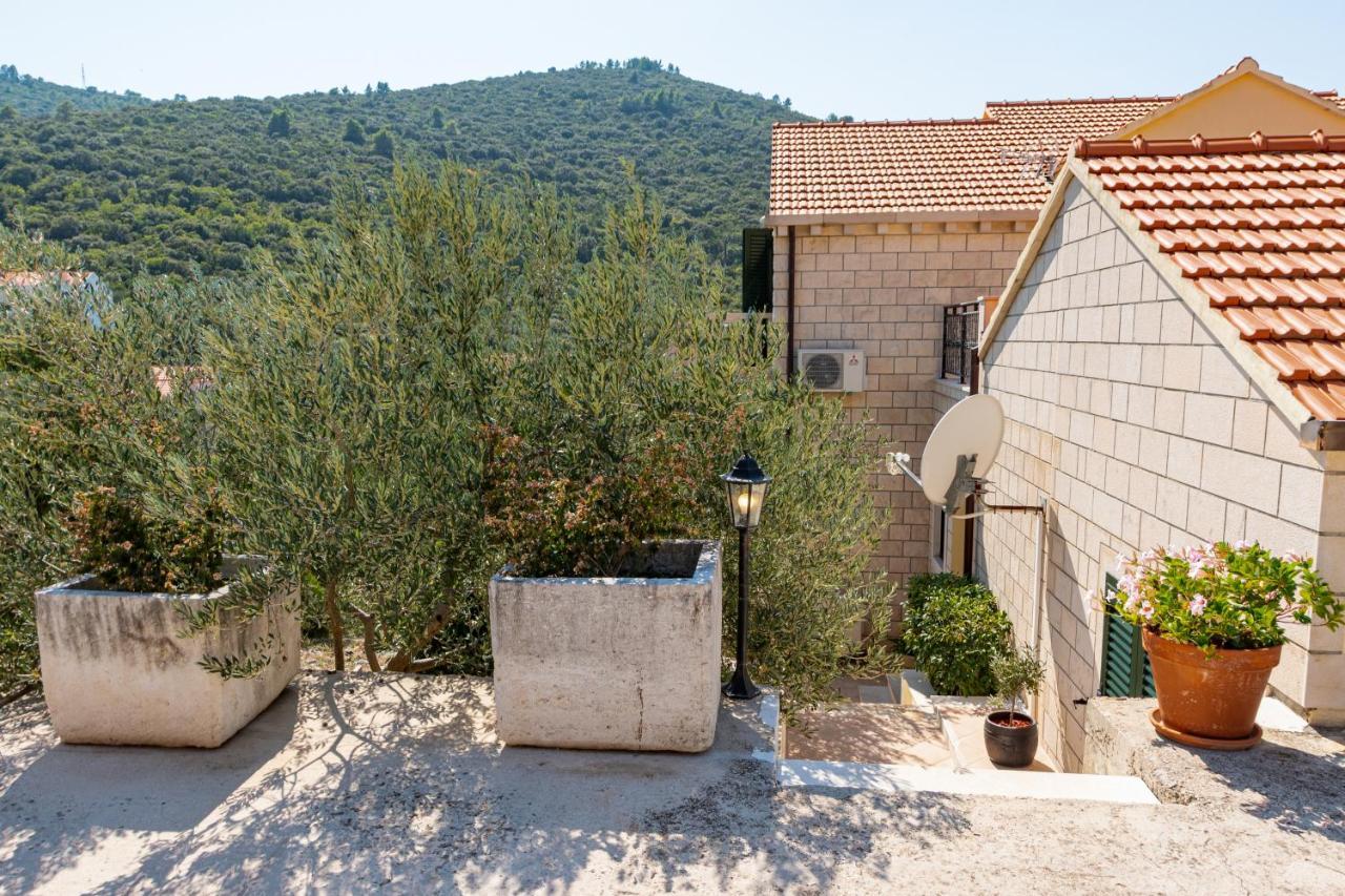 Villa Ana Zrnovo Buitenkant foto